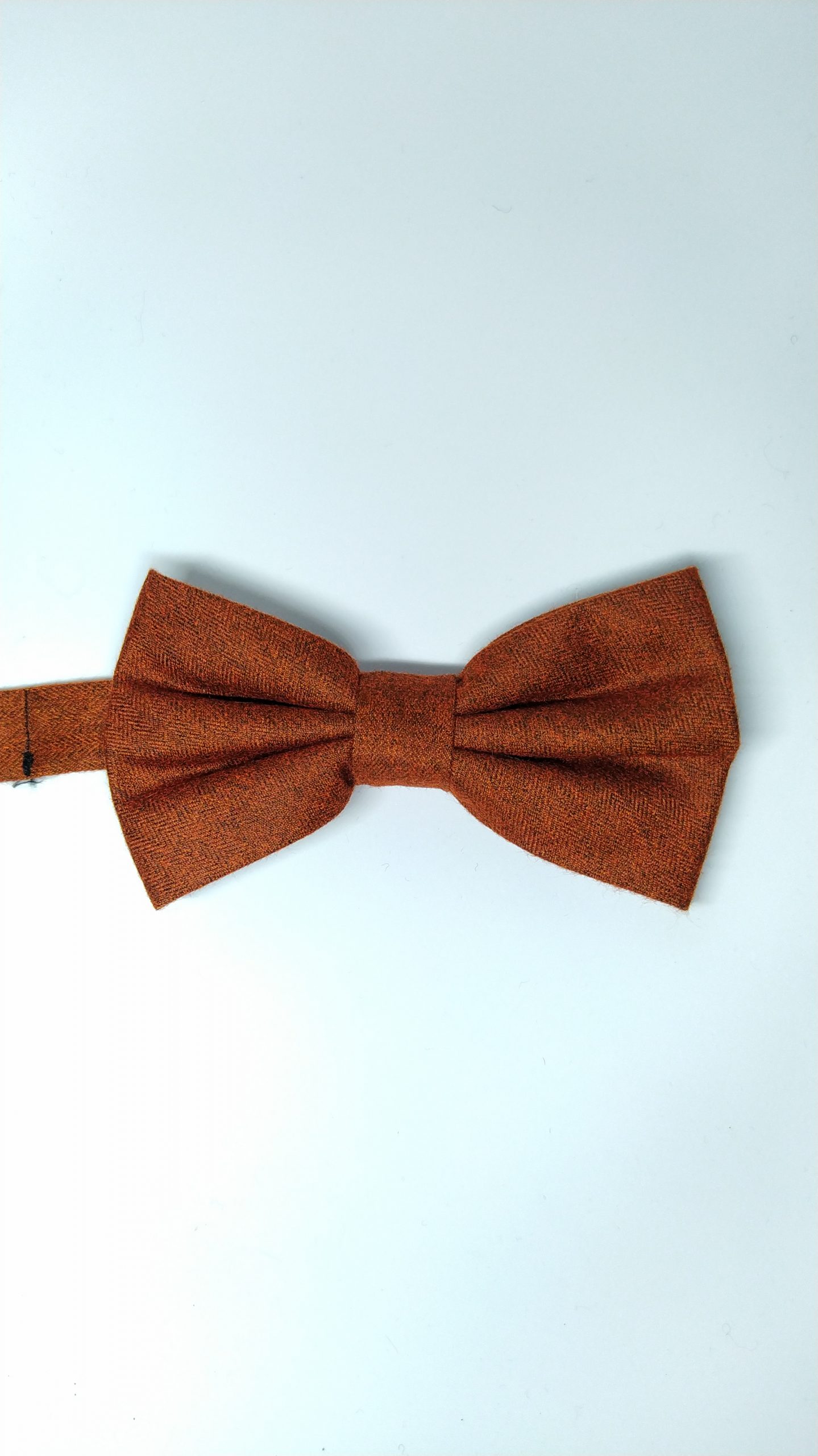 burnt orange bow ties